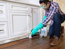 Best Real Estate Pest Inspections  in Rockledge, PA